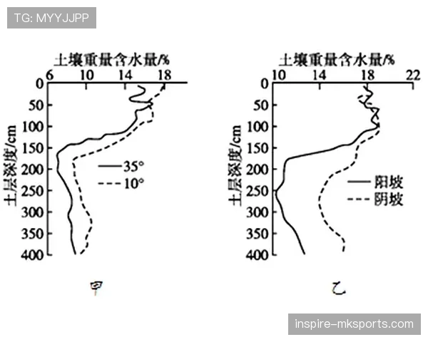 维蒂尼亚与京多安控场能力对比：技术风格与节奏控制差异解析